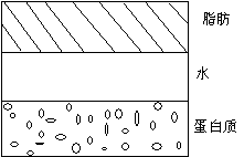 羧甲基纖維素鈉在蛋白質(zhì)中的分離上浮